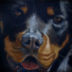 Pet Commissions by Suzanne Shelden