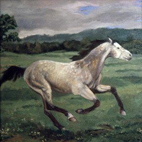   Race Horse      