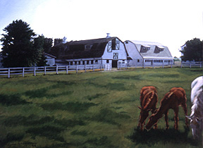 Horse Barn and Pasture