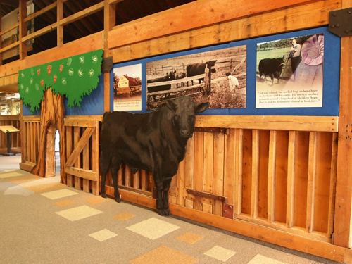 Jefferson Patterson Park and Museum - Childrens Discovery Room