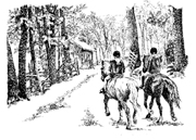   Trail Ride  