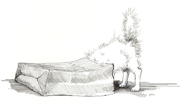'In the Bag'
