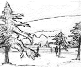   View Across the Horse Field  